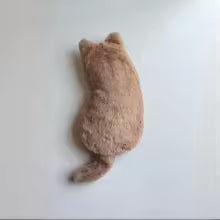 Estojo de Pelúcia Gatinho Kawaii 🐈‍⬛✨